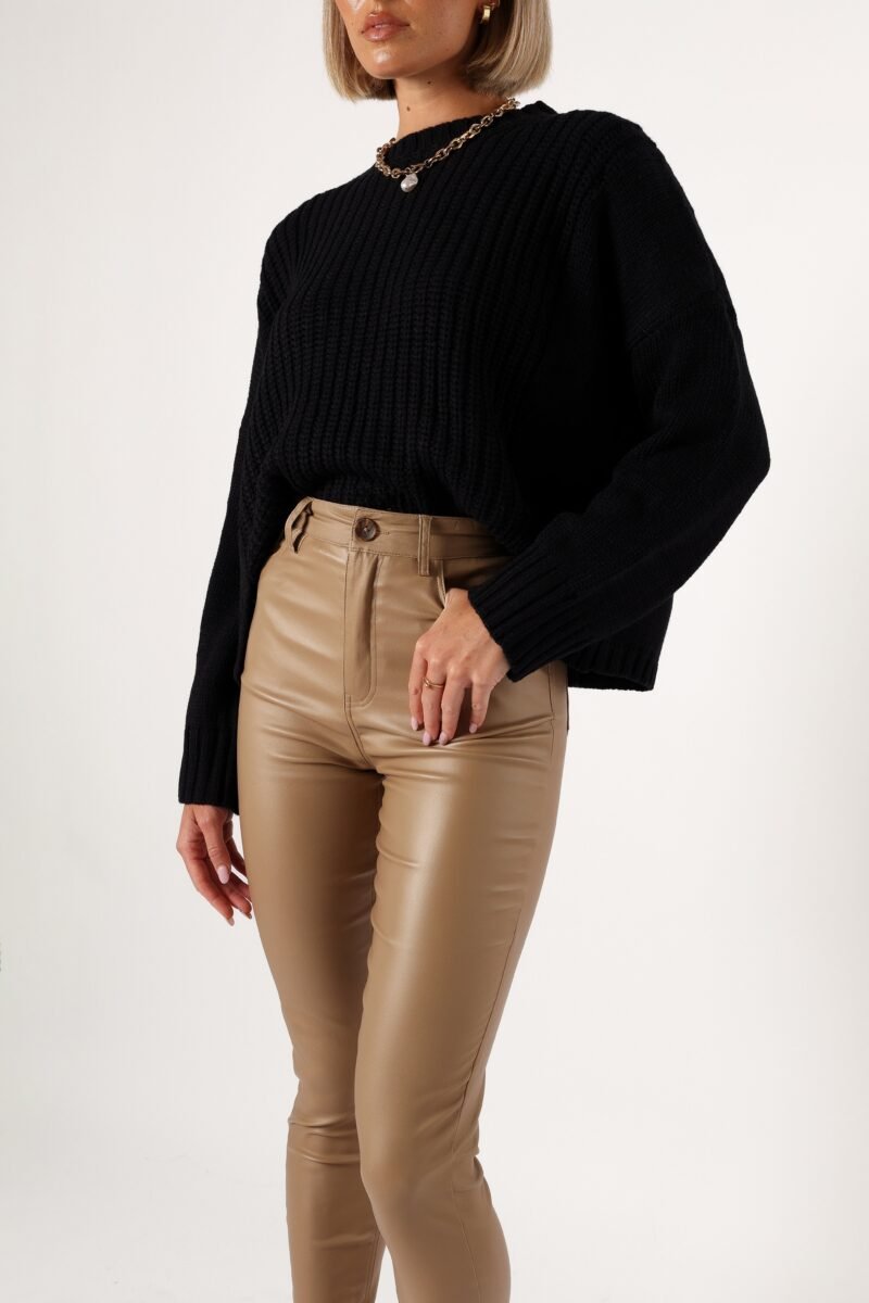 Vegan Leather Pants - Tan - Image 7